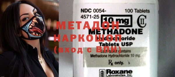 прущие грибы Михайлов