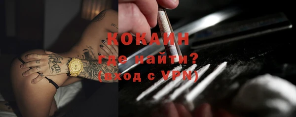 дмт Мегион