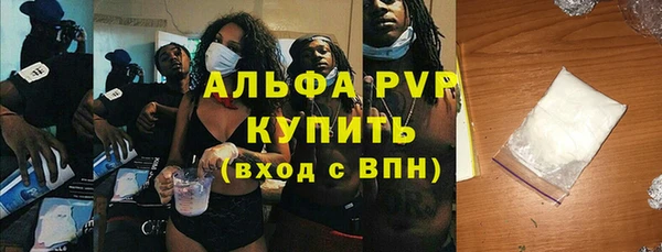 прущие грибы Михайлов